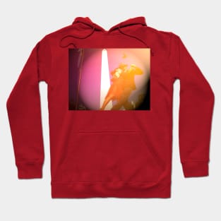 tangos de todos los tiempos, Hoodie